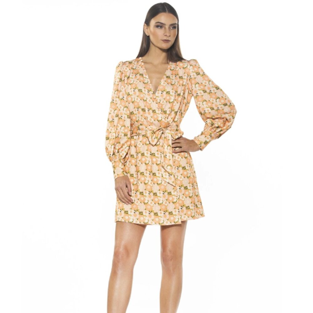 Alexia Admor Mini Wrap Dress Summer Floral 4